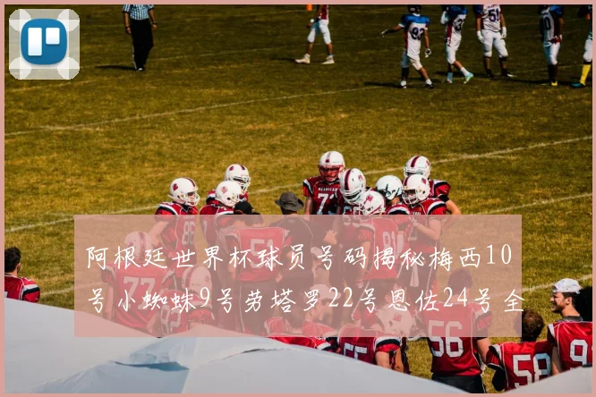 阿根廷世界杯球员号码揭秘梅西10号小蜘蛛9号劳塔罗22号恩佐24号全解析